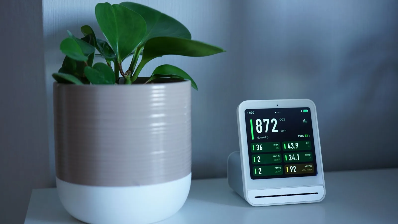 A modern air quality monitor next to a green plant on an indoor table, measuring CO2 levels.